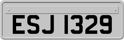 ESJ1329