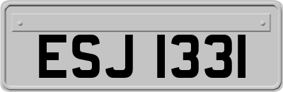 ESJ1331