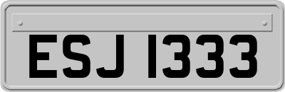 ESJ1333