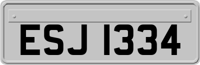 ESJ1334