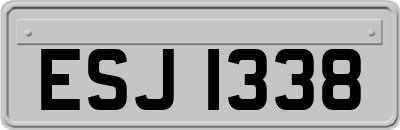 ESJ1338