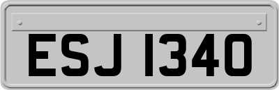 ESJ1340