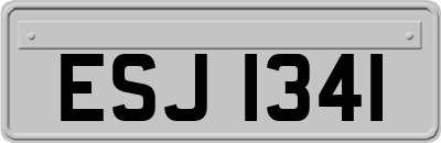 ESJ1341