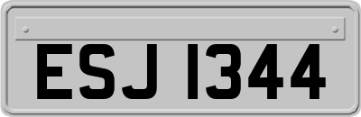 ESJ1344