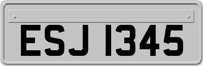 ESJ1345