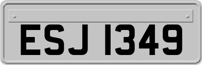ESJ1349