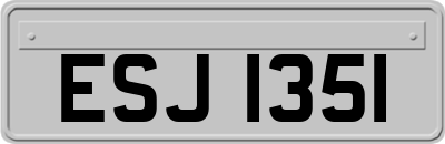 ESJ1351
