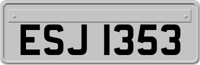 ESJ1353