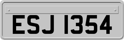 ESJ1354
