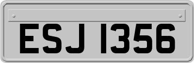 ESJ1356