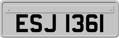 ESJ1361