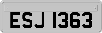 ESJ1363