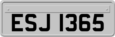 ESJ1365