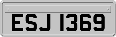 ESJ1369