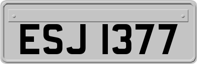 ESJ1377