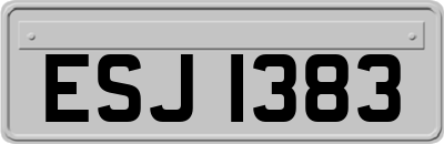 ESJ1383
