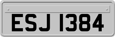 ESJ1384