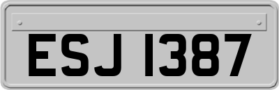 ESJ1387
