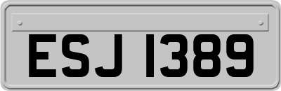 ESJ1389