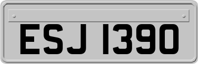 ESJ1390