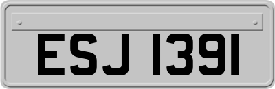 ESJ1391