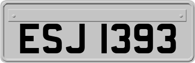 ESJ1393