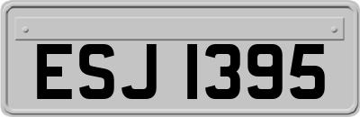 ESJ1395