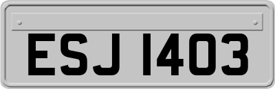 ESJ1403