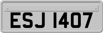 ESJ1407