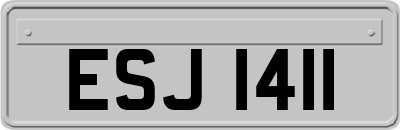 ESJ1411