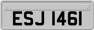 ESJ1461