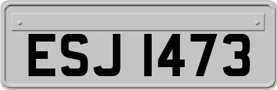 ESJ1473