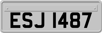 ESJ1487