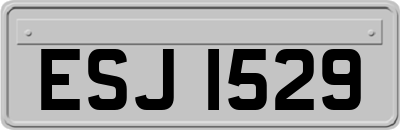 ESJ1529