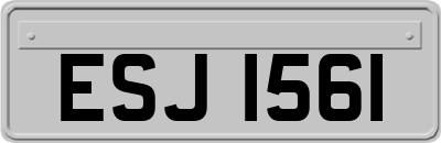 ESJ1561
