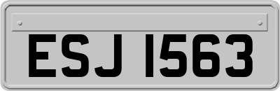 ESJ1563