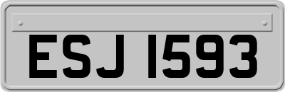 ESJ1593