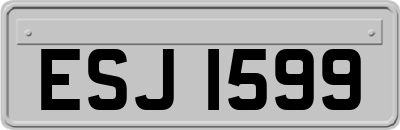 ESJ1599