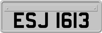 ESJ1613