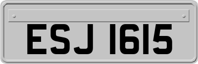 ESJ1615