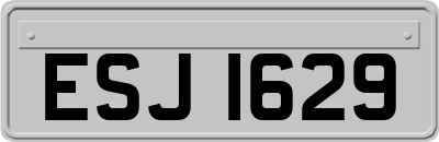 ESJ1629