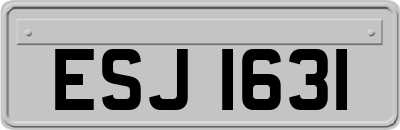 ESJ1631