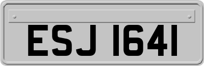 ESJ1641