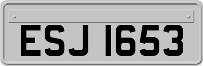 ESJ1653