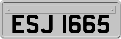 ESJ1665
