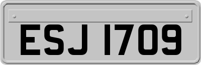 ESJ1709