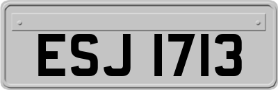 ESJ1713