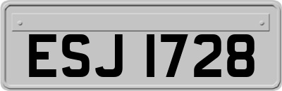 ESJ1728
