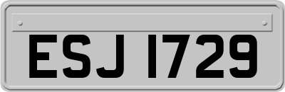 ESJ1729