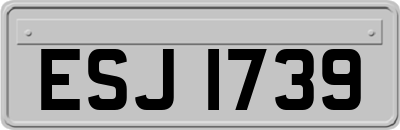 ESJ1739